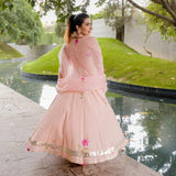 DUSTY ROSE WEDDING HANDPAINTED ANARKALI SUIT